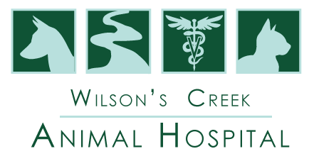 wilsons creek animal hospital logo