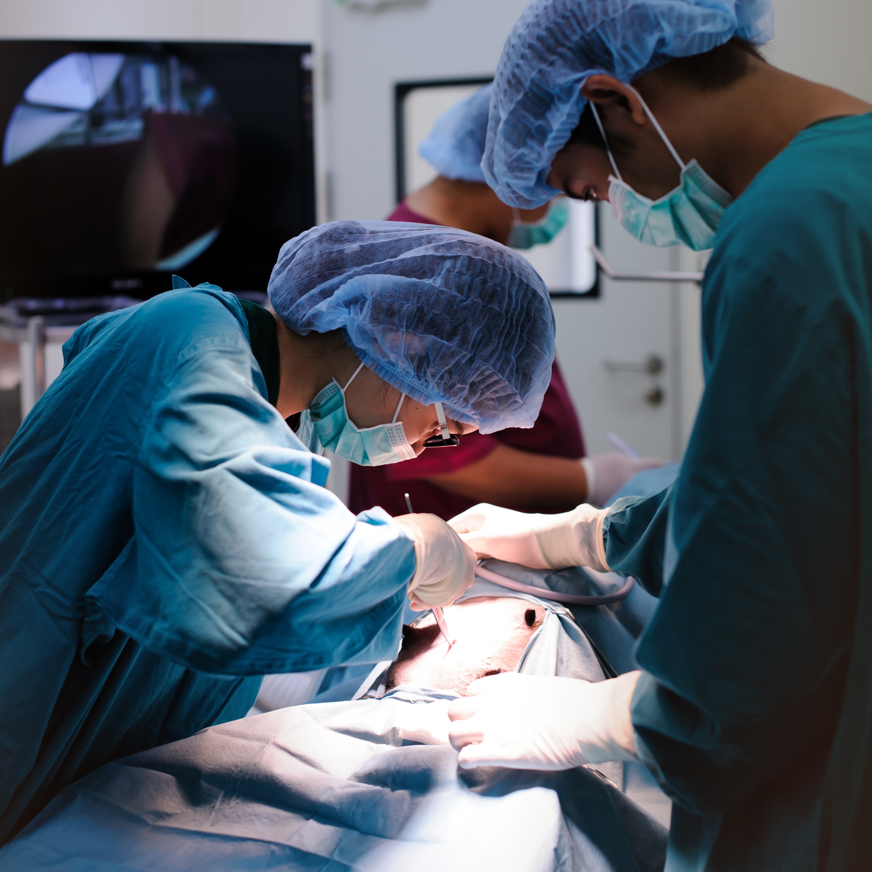 Anesthesia - veterinarians performing surgery