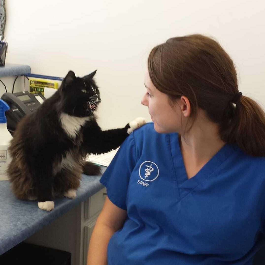 Staff member and cat